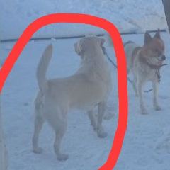 ������� ���� ��������� ������ � ������ ������� �������� � ������� (����)