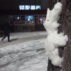 � �������� ��������� �������� �����������, ������ ���� � �����