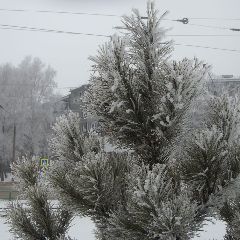 ��������� ���� ������� � �������� ����� ������������ ���������