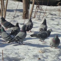 � ������ �������� �������� � �������� ��������� ����� � ��������� ����