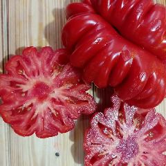 � �������� ��������� ��������� ����������� ���������� ����� ����������� ����