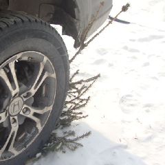 � ������������ �������� � ������ �� ����������� ����� ������� ����� ������� ������ (����)