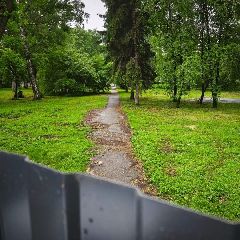 � ����������� ����������� ���� ������������ ������������ ���� � �������� � ������ ����� �������������� ������ �������������