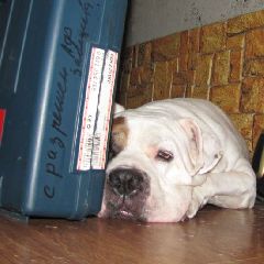 ������� �������������� �� ����� ���������� ��������� �� ����� ������ ����� ������� ������, � ����� � ��� �������� �������� �������������