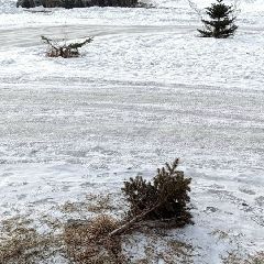 ���� ������, � ������ ����������: ������������� ������������� ������ ������� � �������� �������� (����)