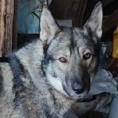 � �������� ������������ ���, ��������� �� ����� � ����� (����)