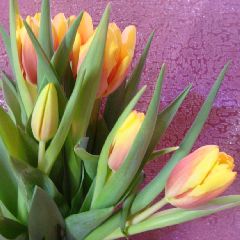 � ����������, ����� �������!