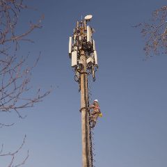 ������ ���� ������� ��������� ����� �� ������ ����� � ����� ����� � Telecom Daily