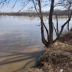 ������ ��� ��� �������� �� 20:00 10 ������