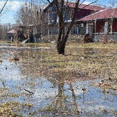 ������ ��� ��� �������� �� 20:00 13 ������