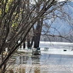 ������ ��� ��� �������� �� 08:00 14 ������