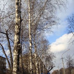 � �������� � ��������� ��� ��������� ������������ ����������� � ��������