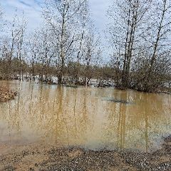 ������ ��� ��� �������� �� 20:00 19 ������