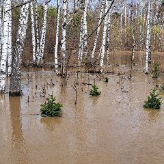 ������ ��� ��� �������� �� 08:00 21 ������