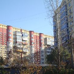 �� ���� ������ � �������� ��������� ���������� �� +24��