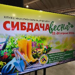 ����� ������� ������� ������ � ������������ ���������� ������� ��������-����� (����, �����)