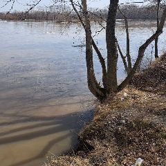 ������ ��� ��� �������� �� 20:00 21 ������