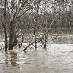 ������ ��� ��� �������� �� 20:00 22 ������