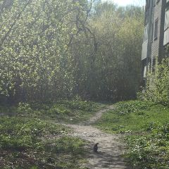 На этой неделе в Кузбасс снова придёт жара На этой неделе в Кузбасс снова придёт жара