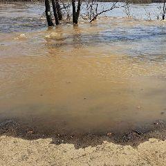 ���� � ���� ���������: � ������������� ������ �������� ������� ��������� �����