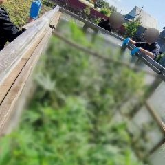 ����������� �������� ����� �������, ����� ����������� ��� (����)
