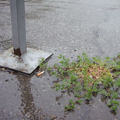 В Кузбассе к концу недели ожидаются жара, дожди и град В Кузбассе к концу недели ожидаются жара, дожди и град