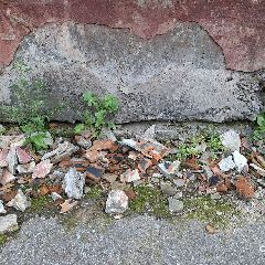 ��������� ��������� ������� ������� �������������� ���� � ��������