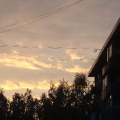 � �������� ��������� ��������� ������
