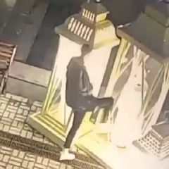 � ������������ ������ ����� ����������, ��������� ������������ ������ � ��������� (����, �����)